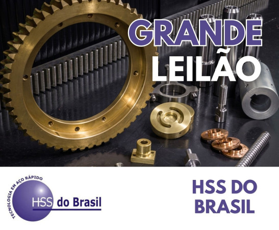 Grande Leilão HSS do Brasil 2026